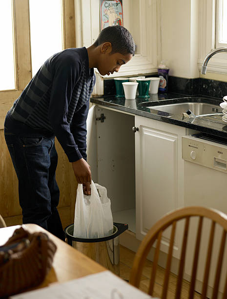  Ovid, MI Junk Removal Services Pros